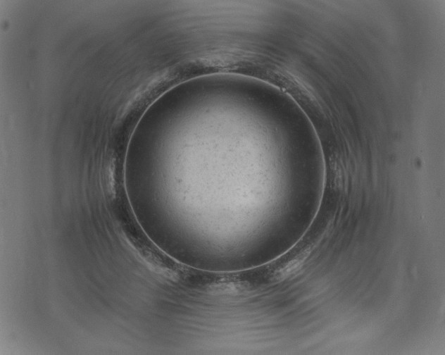 X0000072550404200607211404