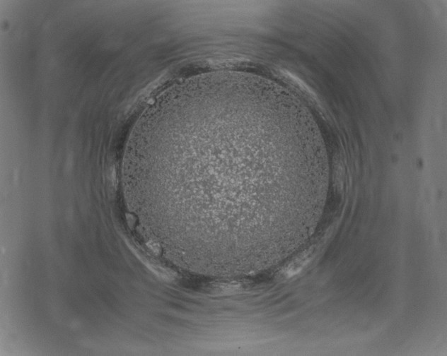 X0000072550405200607211404