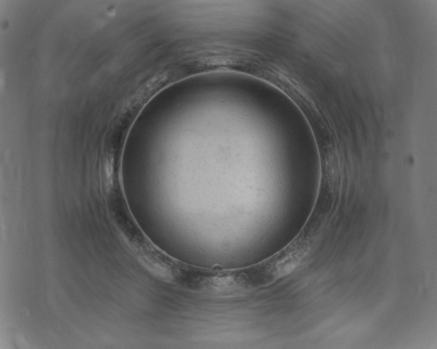 X0000072550406200607211404