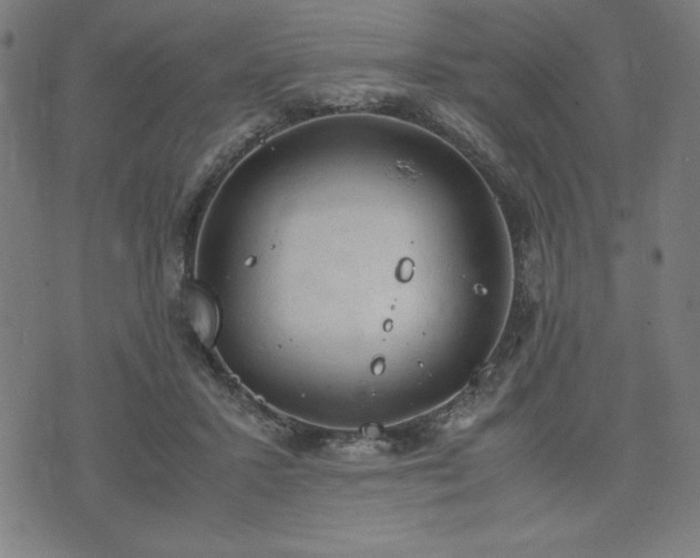 X0000072550407200607211404