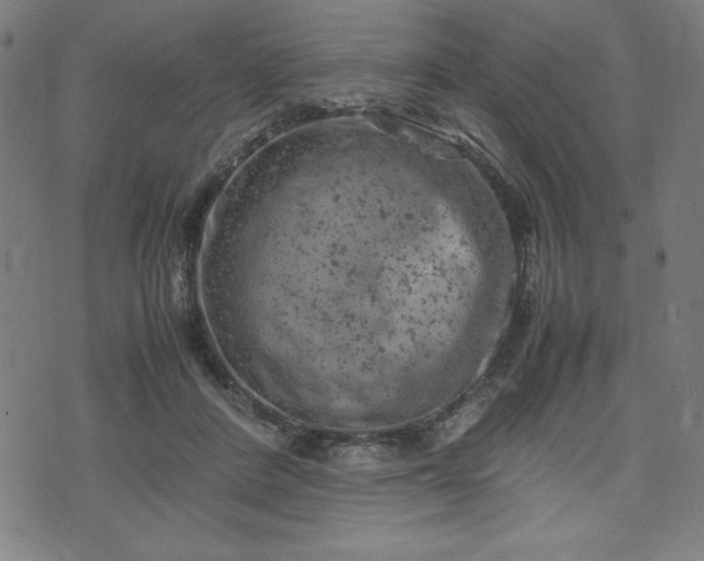 X0000072550408200607211404