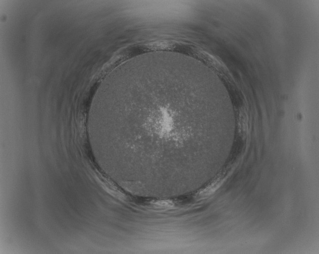 X0000072550409200607211404