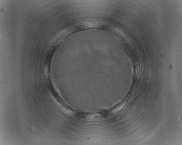 X0000072550410200607211404