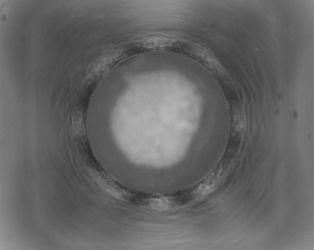 X0000072550411200607211404