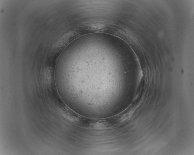 X0000072550412200607211404