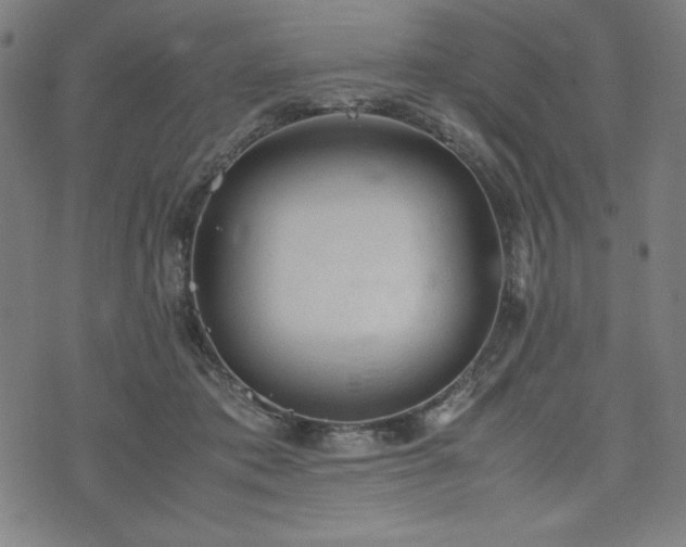 X0000072550413200607211404