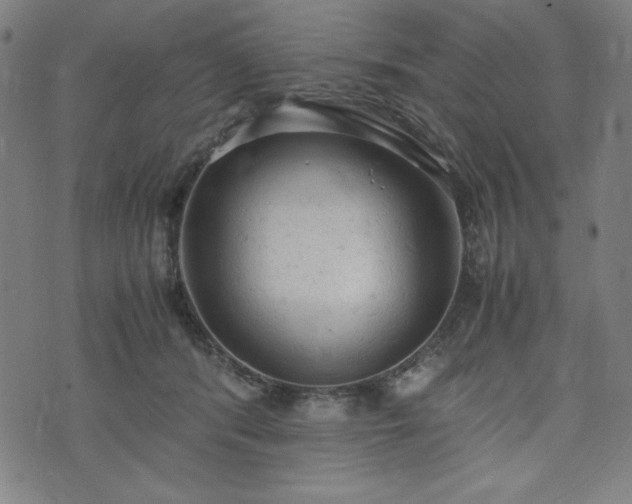 X0000072550416200607211404