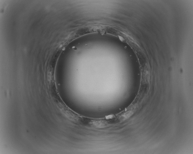 X0000072550417200607211404