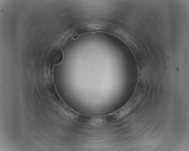 X0000072550418200607211404