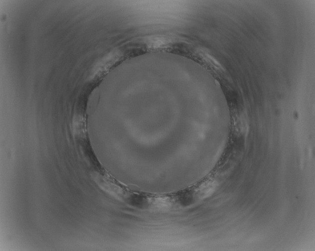 X0000072550419200607211404