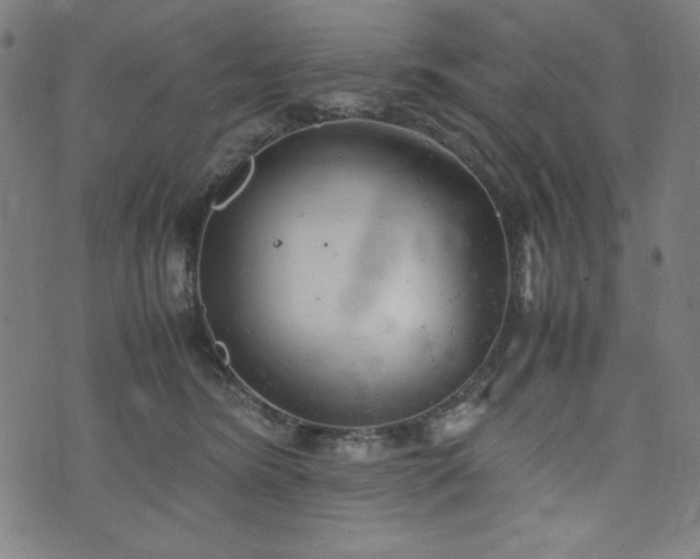 X0000072550420200607211404