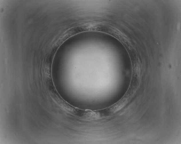 X0000072550421200607211404