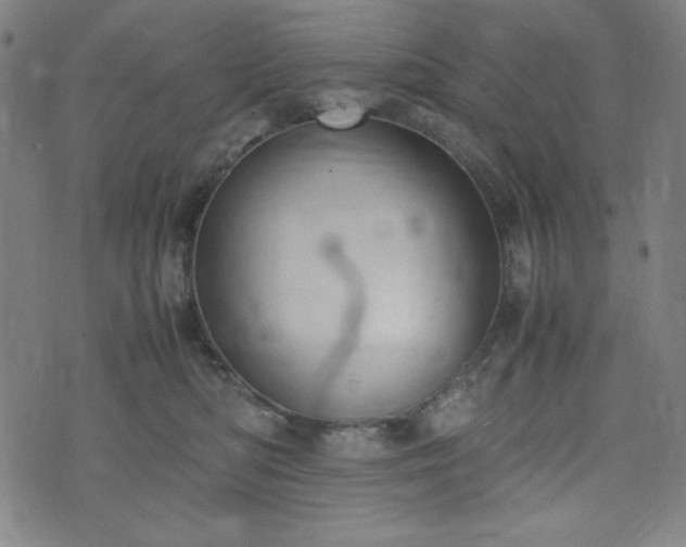 X0000072550422200607211404