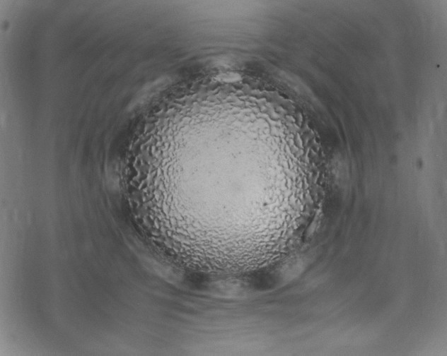 X0000072550423200607211404