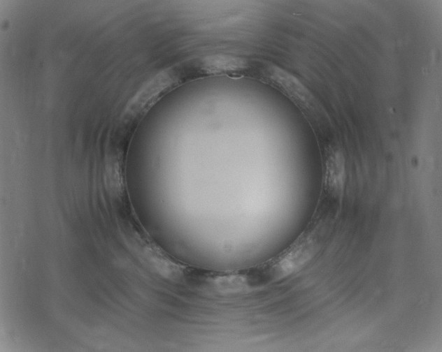 X0000072550426200607211404