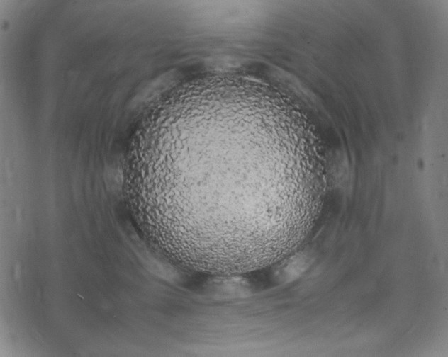 X0000072550427200607211404