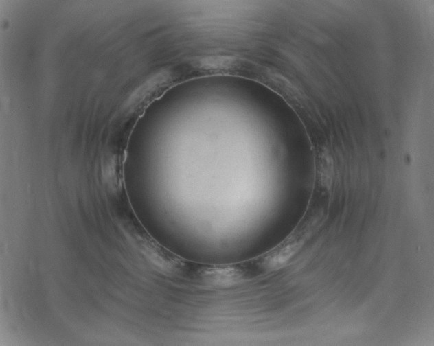 X0000072550428200607211404