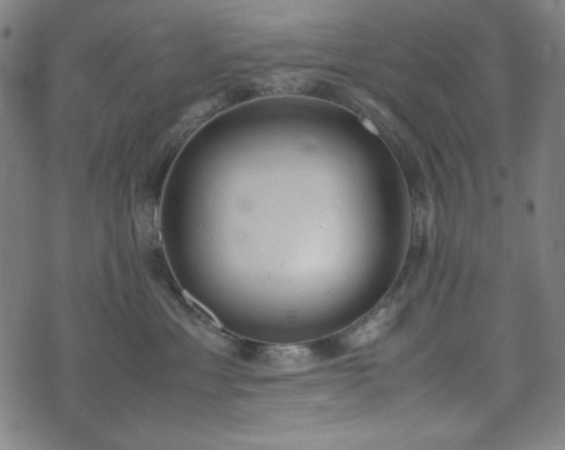 X0000072550429200607211404