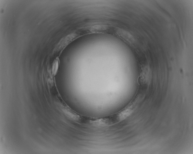 X0000072550430200607211404