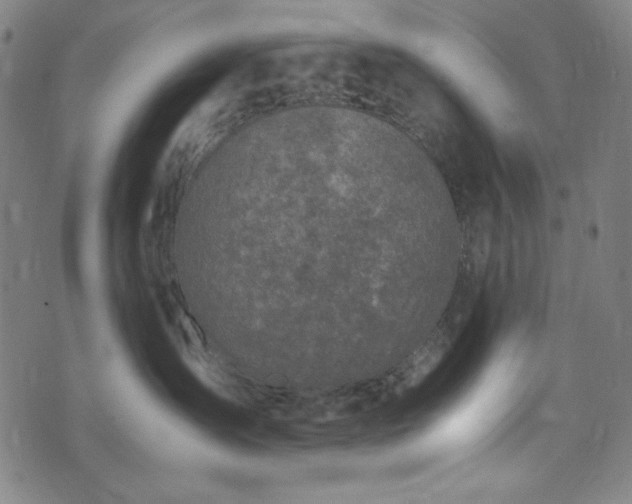 X0000072550431200607211404