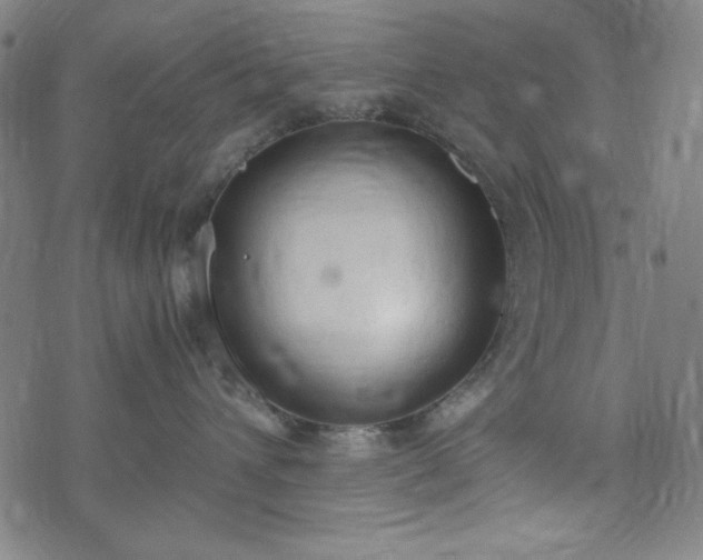 X0000072550432200607211404