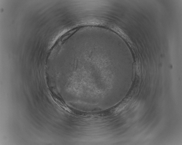 X0000072550434200607211403