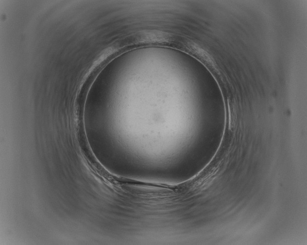 X0000072550435200607211403