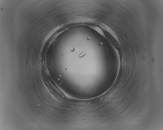 X0000072550436200607211403