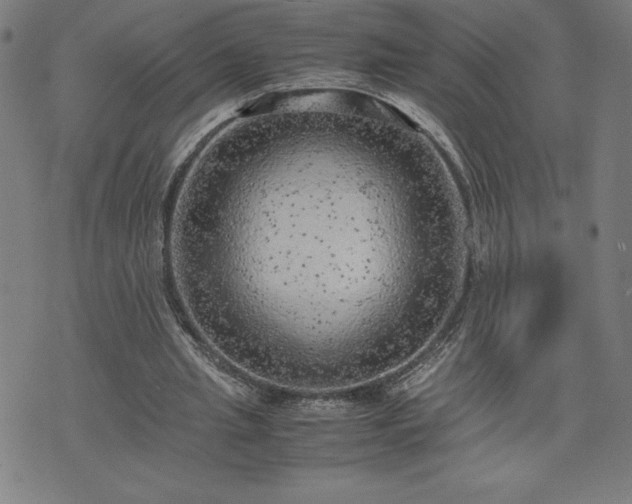 X0000072550437200607211403