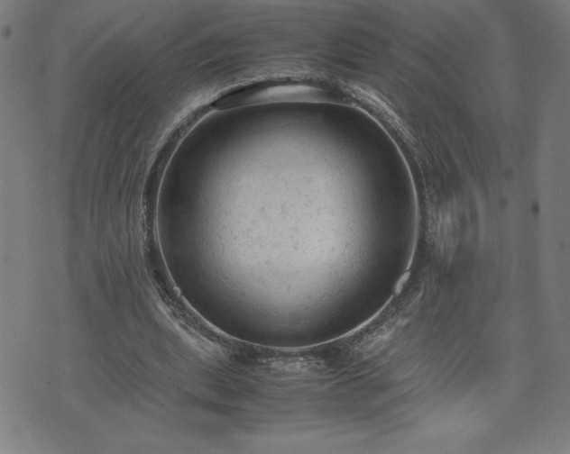 X0000072550439200607211403