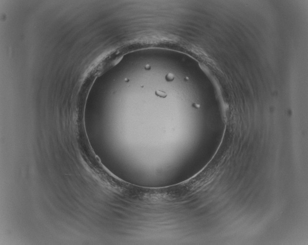 X0000072550440200607211403