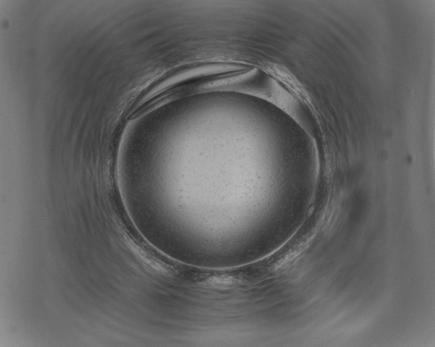 X0000072550441200607211403