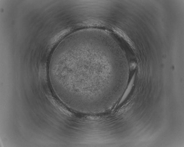 X0000072550442200607211403