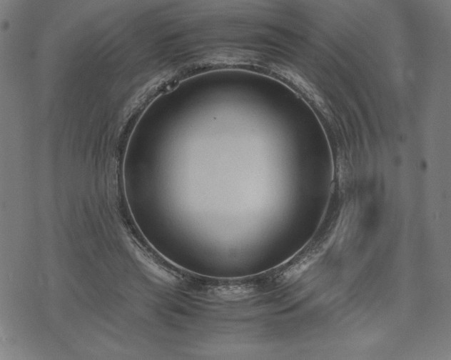 X0000072550445200607211403