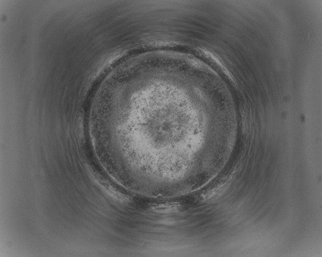 X0000072550447200607211403