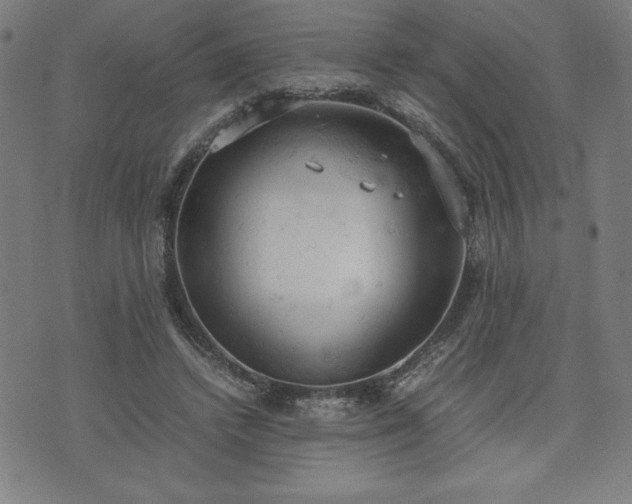 X0000072550448200607211403