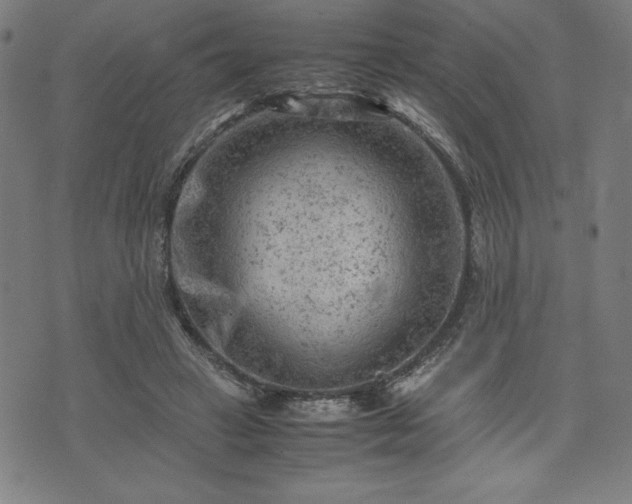 X0000072550449200607211403