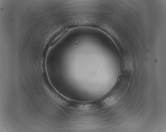 X0000072550450200607211403