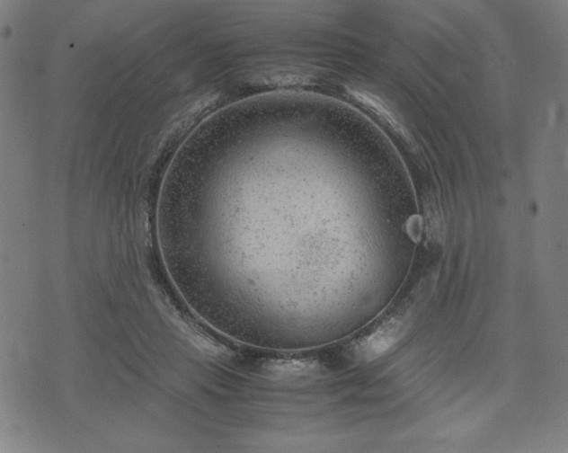 X0000072550453200607211403