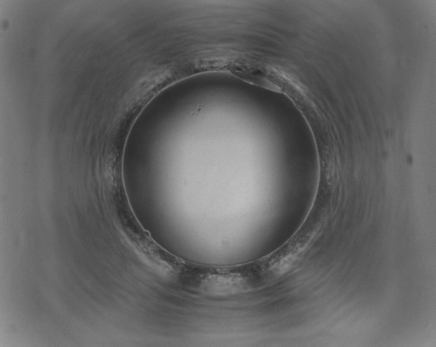 X0000072550455200607211403