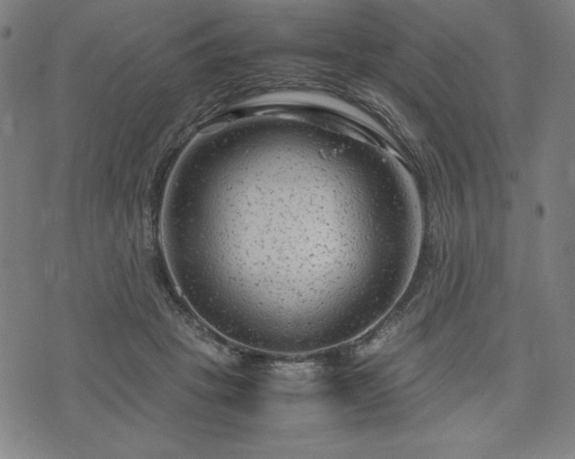 X0000072550457200607211403