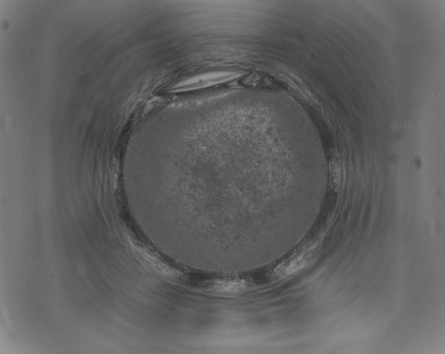 X0000072550458200607211403