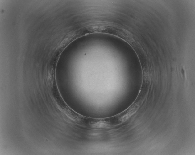 X0000072550460200607211403