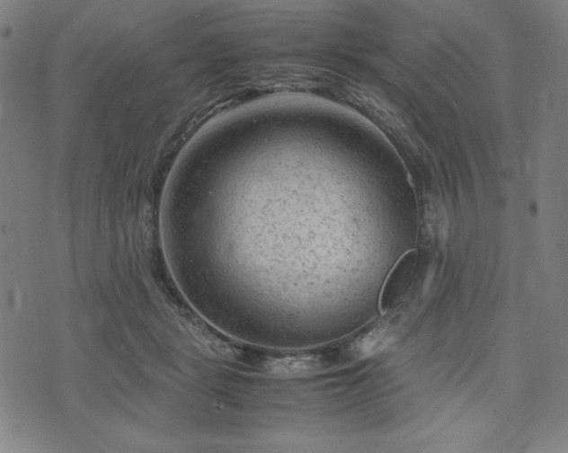 X0000072550461200607211403