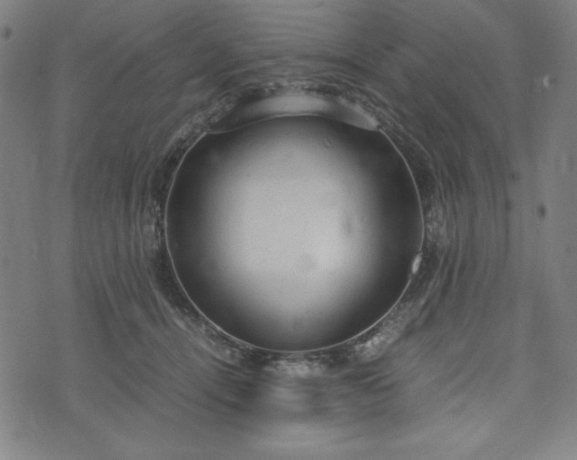 X0000072550464200607211403