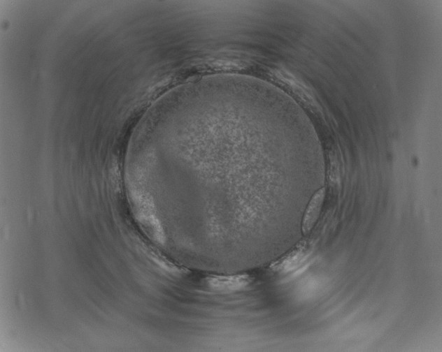 X0000072550465200607211403