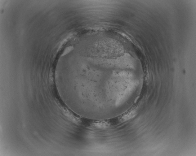 X0000072550466200607211403