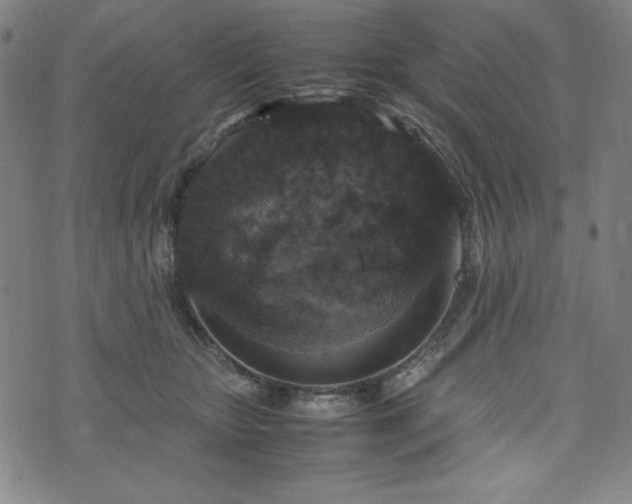 X0000072550467200607211403