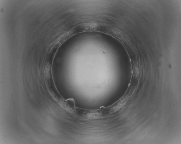 X0000072550468200607211403