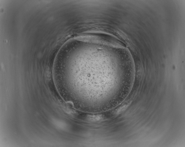 X0000072550469200607211403